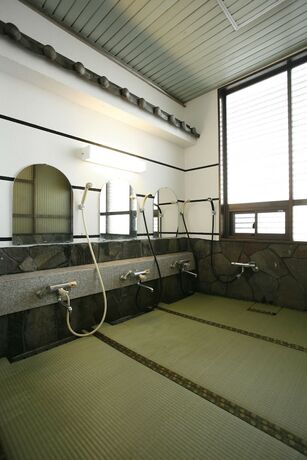 Imagen general del Hotel Ogotoso. Foto 3