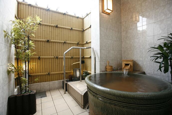 Imagen general del Hotel Ogotoso. Foto 4