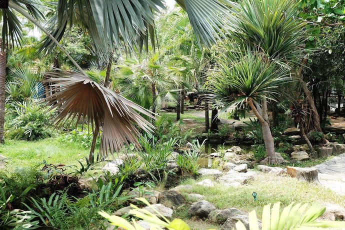 Imagen de los exteriores del Hotel Ohana Resort and Restaurant. Foto 12