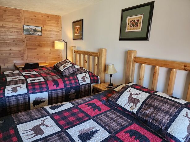 Imagen general del Hotel Ohiopyle Suites. Foto 2