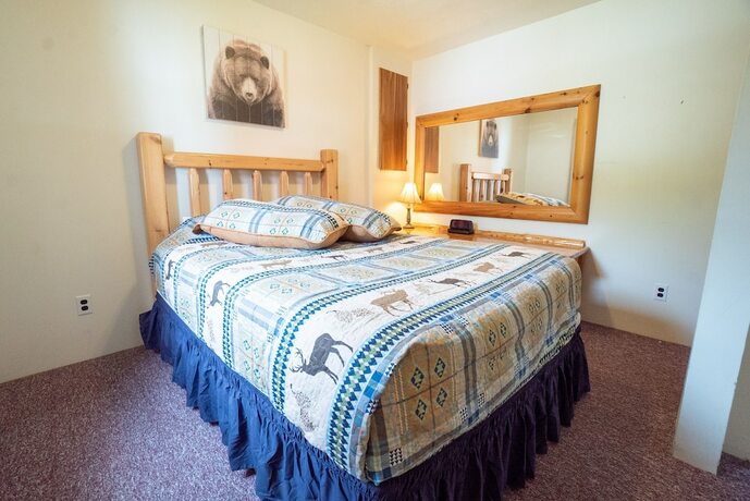 Imagen de la habitación del Hotel Ohiopyle Suites. Foto 15