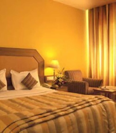 Imagen general del Hotel Ohris Banjara. Foto 8
