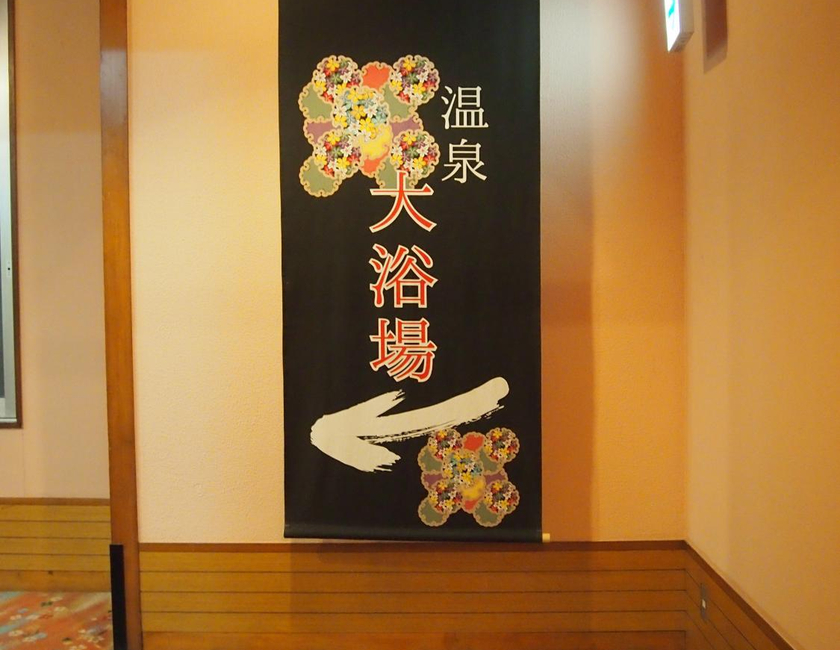 Imagen general del Hotel Ohsho. Foto 9