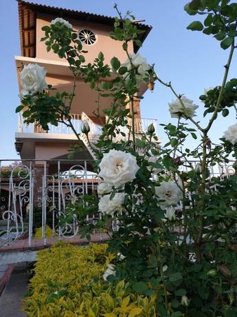 Imagen general del Hotel Ojo de Agua, Ciudad Hidalgo. Foto 3