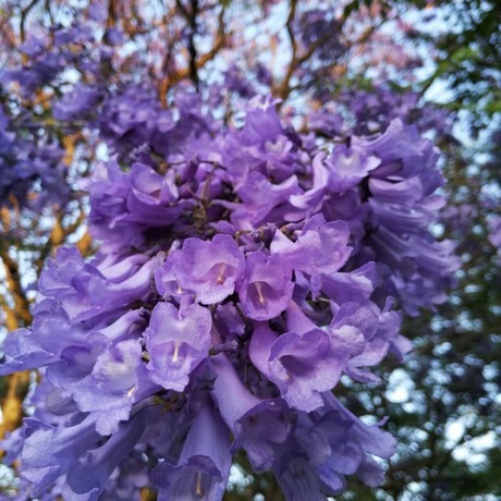 Imagen de los exteriores del Hotel Ojo de Agua, Ciudad Hidalgo. Foto 11