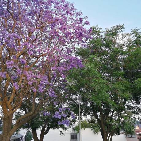 Imagen de los exteriores del Hotel Ojo de Agua, Ciudad Hidalgo. Foto 12