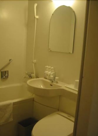 Imagen de la habitación del Hotel Okabe Shiosaitei. Foto 11