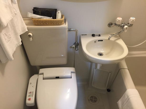 Imagen de la habitación del Hotel Okawa Riverside. Foto 12
