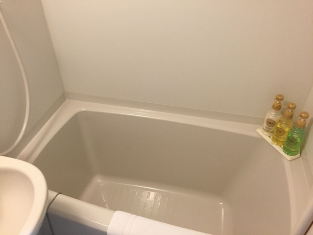 Imagen de la habitación del Hotel Okawa Riverside. Foto 13