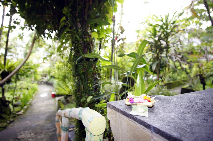 Imagen de los exteriores del Hotel Okawati. Foto 6