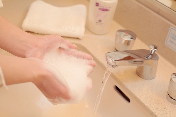 Imagen de la habitación del Hotel Okayama Koraku. Foto 8