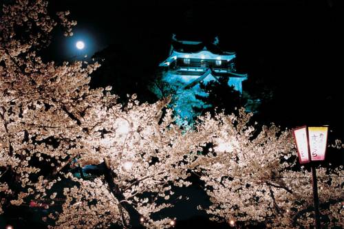 Imagen de la habitación del Hotel Okazaki New Grand. Foto 4