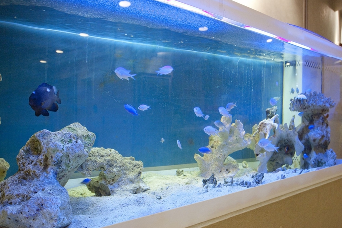 Imagen de los interiores del Hotel Okinawa, Naha. Foto 9