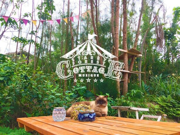 Imagen general del Hotel Okinawa Starry Forest Cottage. Foto 8