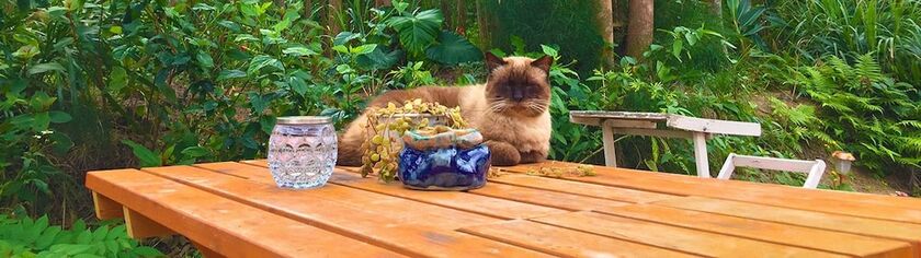 Imagen de la habitación del Hotel Okinawa Starry Forest Cottage. Foto 32