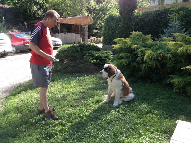 Imagen general del Hotel Oko-Park Panzi&oacute; Kemping &eacute;s Rendezv&eacute;nyk&ouml;zpont. Foto 2