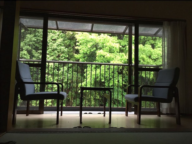 Imagen de la habitación del Hotel Okumizuma Onsen. Foto 2
