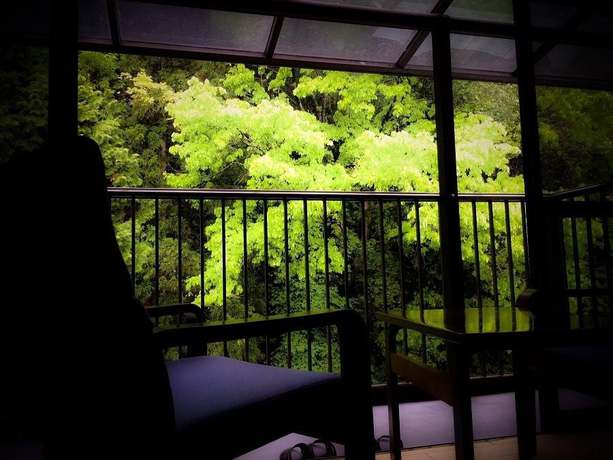 Imagen de la habitación del Hotel Okumizuma Onsen. Foto 3