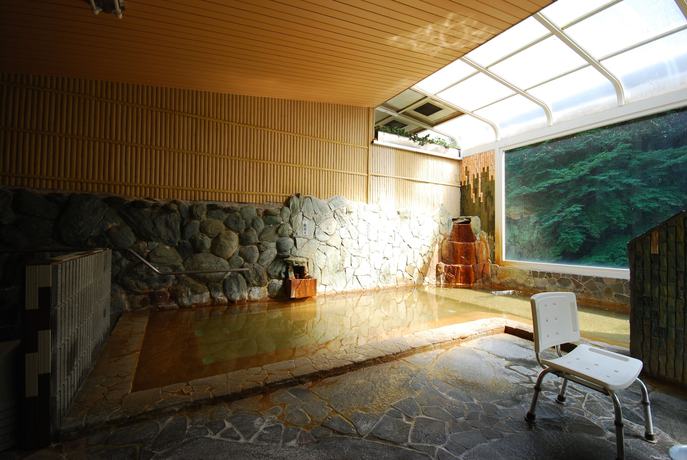 Imagen de la habitación del Hotel Okumizuma Onsen. Foto 8
