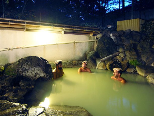 Imagen de la piscina del Hotel Okunikko Konishi. Foto 14