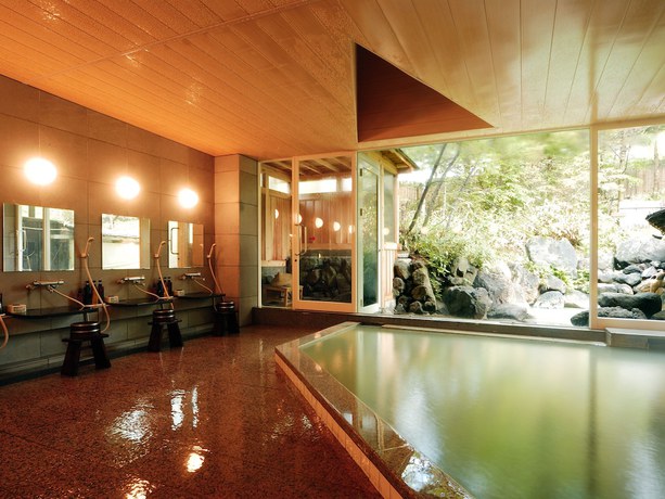 Imagen de la piscina del Hotel Okunikko Konishi. Foto 15