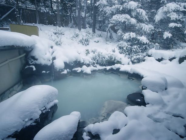 Imagen de la piscina del Hotel Okunikko Konishi. Foto 17