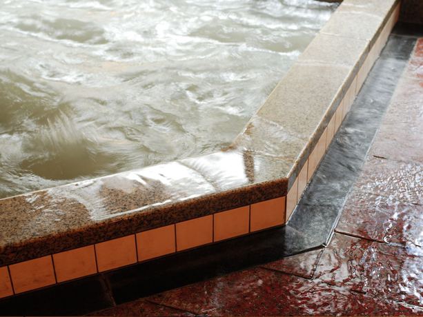 Imagen de la piscina del Hotel Okunikko Konishi. Foto 19