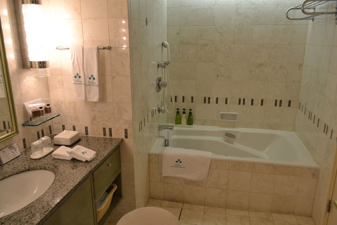 Imagen de la habitación del Hotel Okura Akademia Park. Foto 11