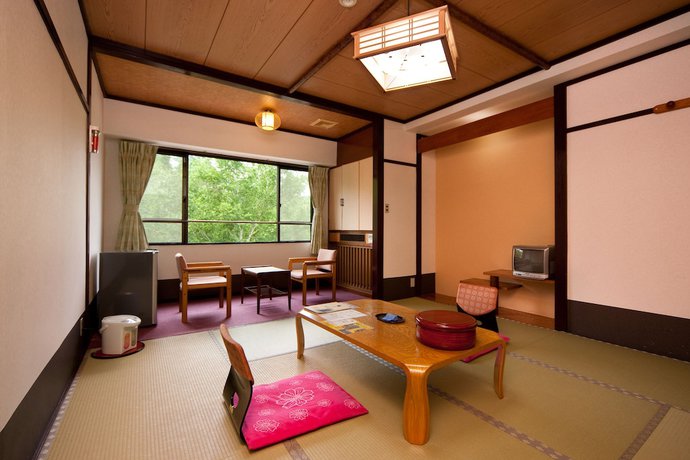 Imagen de la habitación del Hotel Okutone Onsen Sunbird. Foto 17