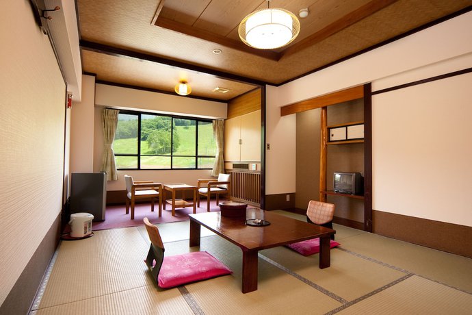 Imagen de la habitación del Hotel Okutone Onsen Sunbird. Foto 18