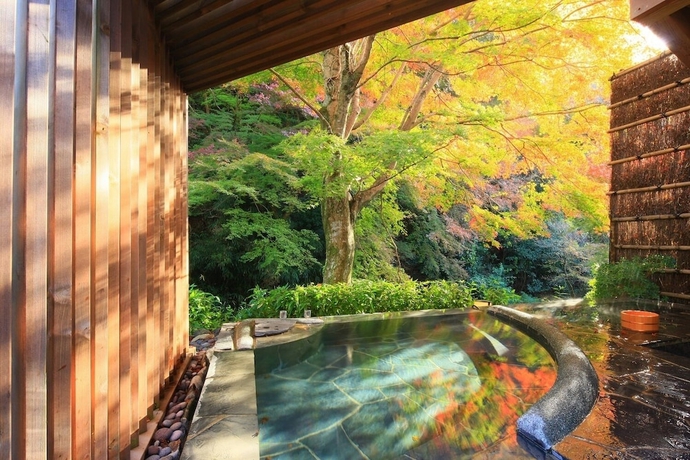 Imagen de la habitación del Hotel Okuyugawara Yui Shiyo. Foto 4