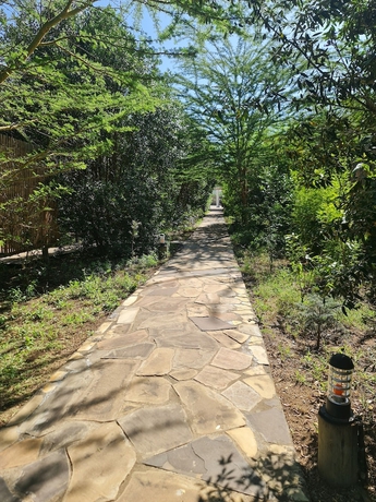Imagen general del Hotel Ol Muteita Lodge. Foto 4