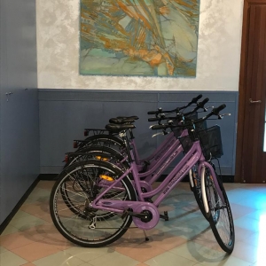 Imagen de los exteriores del Hotel Olanda. Foto 7