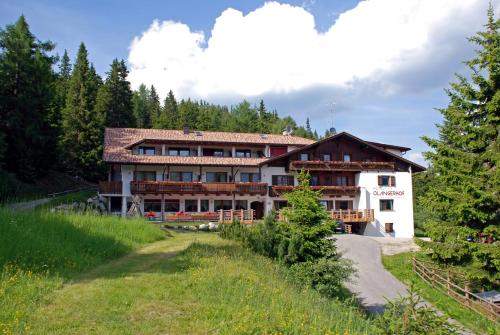 Imagen general del Hotel Olangerhof. Foto 1