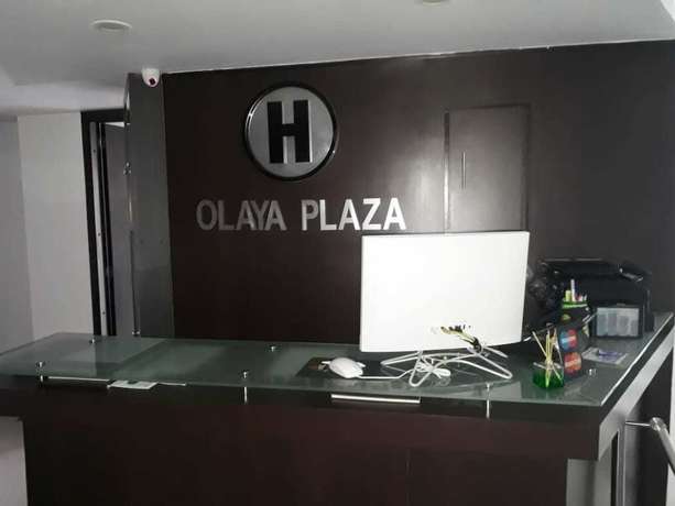 Imagen de la habitación del Hotel Olaya Plaza, AMCO, Area Metropolitana Centro Occidente. Foto 14