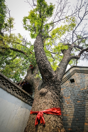 Imagen de los exteriores del Hotel Old Beijing Square Hotel. Foto 11