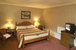 Imagen de la habitación del Hotel Old Bell. Foto 3