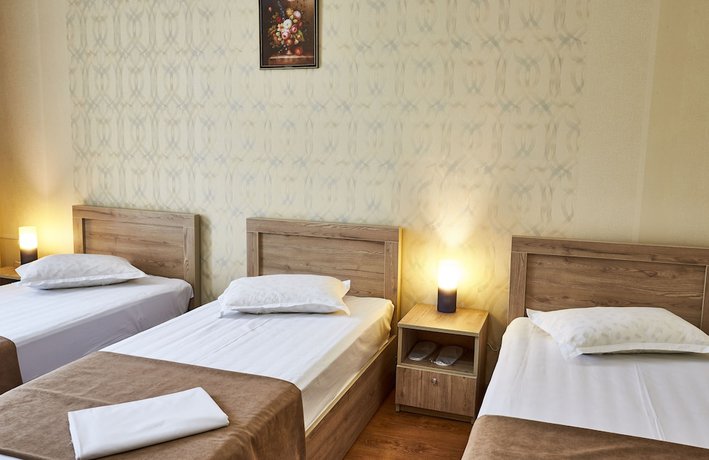 Imagen de la habitación del Hotel Old Borjomi. Foto 9