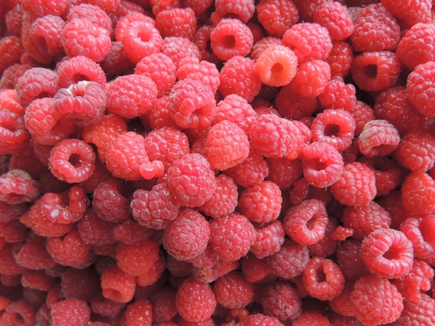 Imagen de los exteriores del Hotel Old Chilli B&B. Foto 19