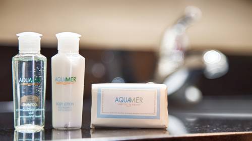 Imagen de la habitación del Hotel Old Mill Inn. Foto 13