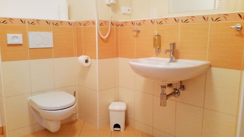 Imagen de la habitación del Hotel Old Prague House. Foto 14