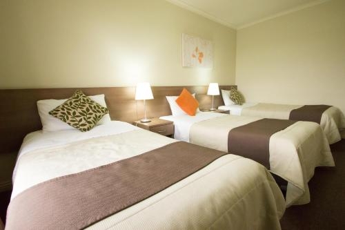 Imagen de la habitación del Hotel Old Willyama Motor Inn. Foto 8