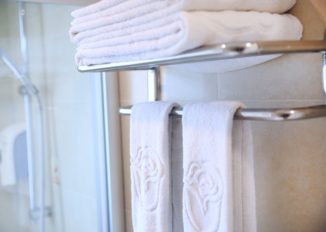 Imagen de la habitación del Hotel Ole London. Foto 3