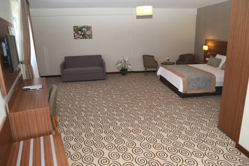 Imagen de la habitación del Hotel Olea Kilis. Foto 5