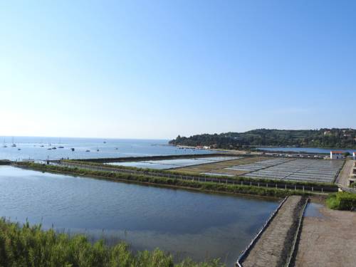 Imagen de la habitación del Hotel Oleander, Piran. Foto 14