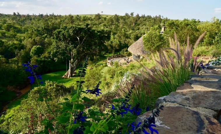 Imagen general del Hotel Olepangi Farm. Foto 9