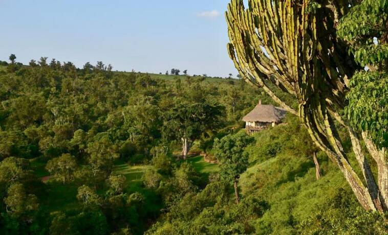 Imagen general del Hotel Olepangi Farm. Foto 13