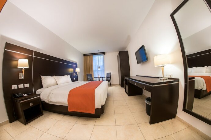 Imagen de la habitación del Hotel Oliba. Foto 20