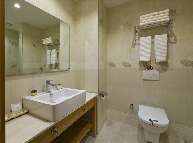 Imagen de la habitación del Hotel Olimpiyat. Foto 14