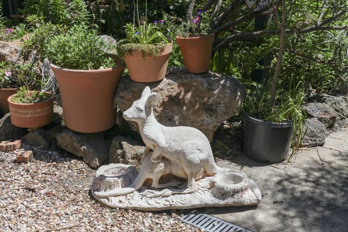 Imagen de los exteriores del Hotel Olinda Country Cottages. Foto 19